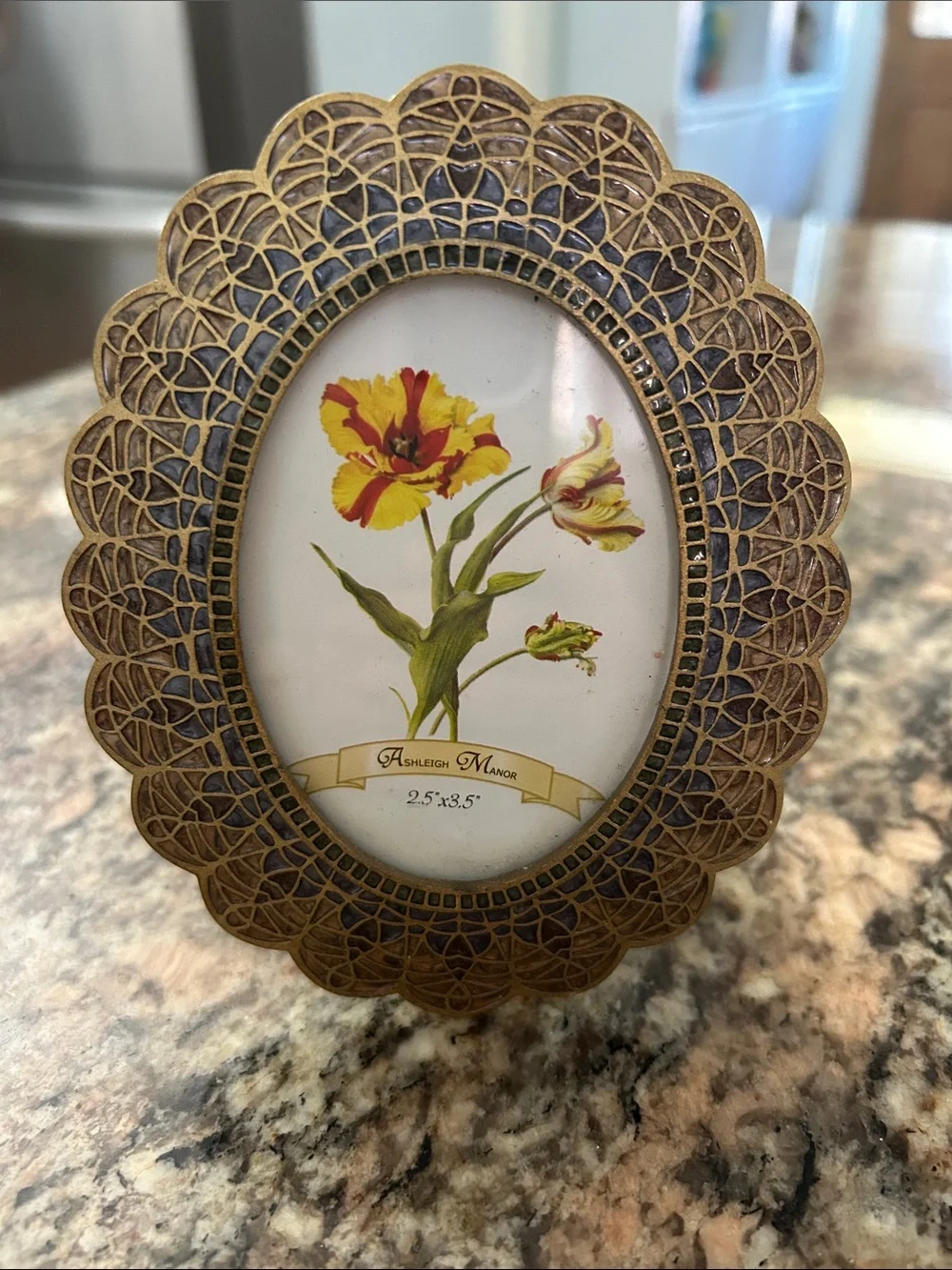 Vintage Ashley Manor Antique-Style Gold Oval Filigree Picture Frame - Gold